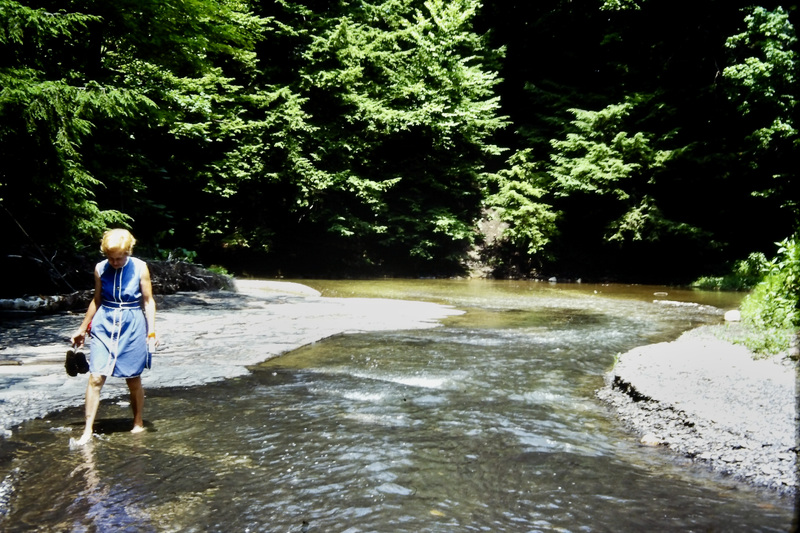June in Summer at Hampton Brook c. 1970s
