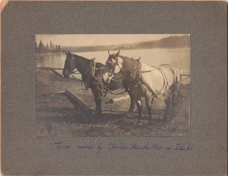 The Engines of the Timberlands c. 1905