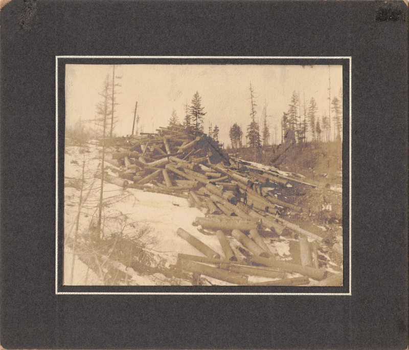 Timber of the Panhandle c. 1905