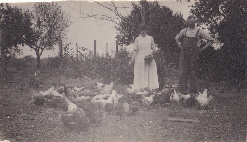 Charles and Anna Haushalter and the Plymouth Rocks c. 1915